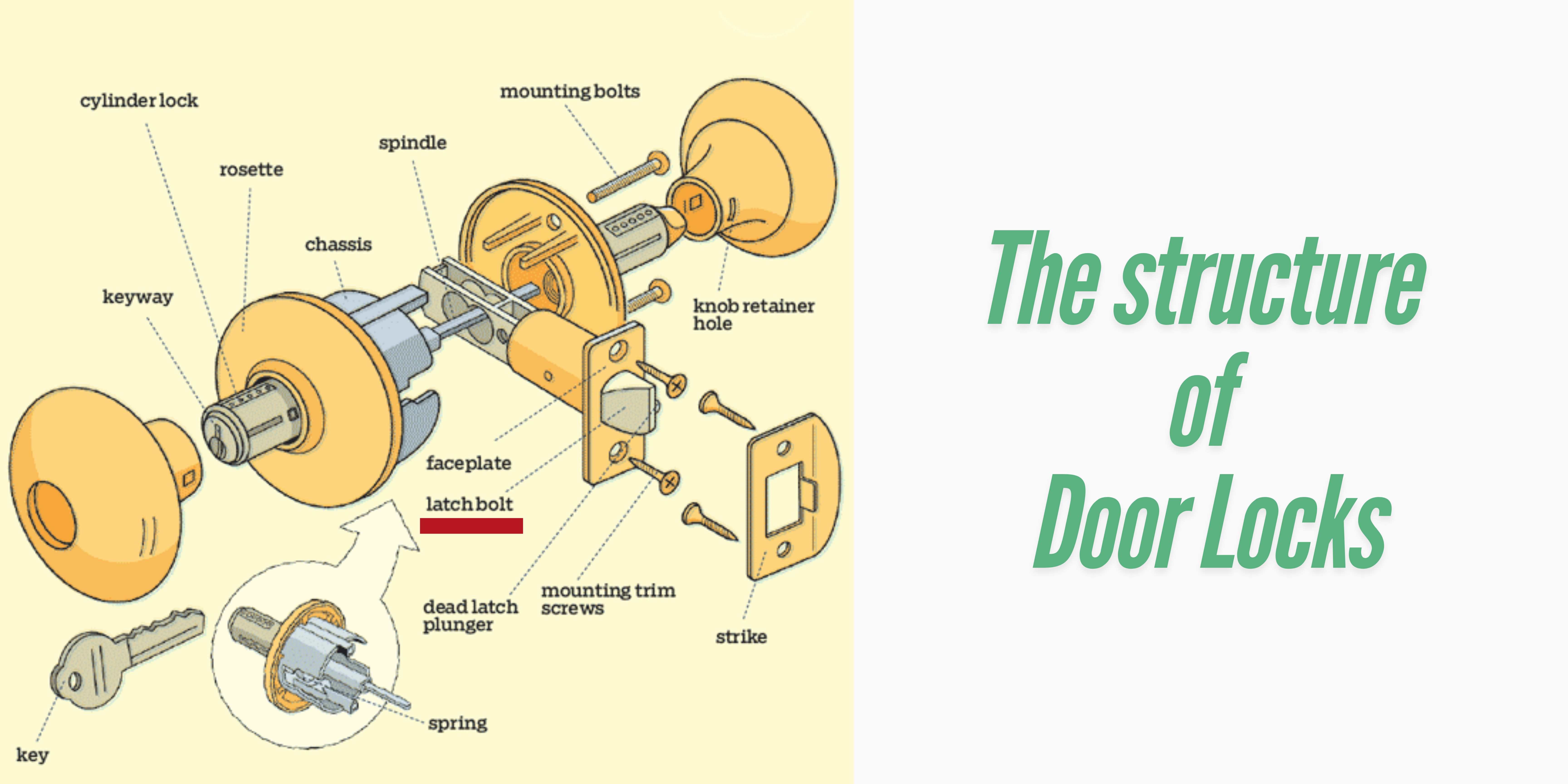 proimages/Media_Room/Industry_News/Latchbolts/34_11zon.jpg Illustration of door lock components, including cylinder lock, keyway, latch bolt, and dead latch plunger, with the text 'The structure of Door Locks' emphasizing educational content on lock mechanisms