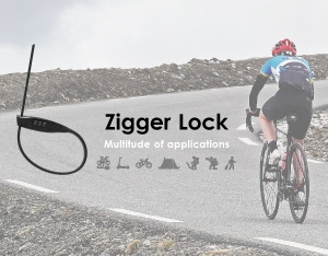 Zigger Lock (DL1002)