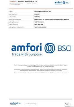 BSCI-SummaryAuditReport