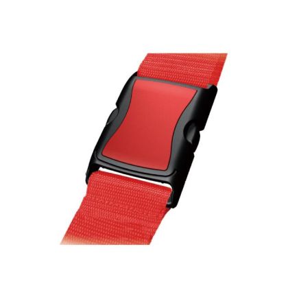 SL0206 Strap Lock