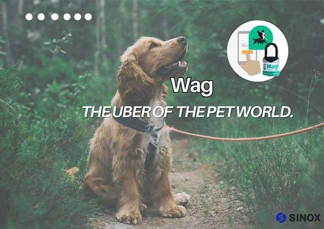 上班或出远门无法带毛小孩?宠物界的专属司机帮毛爸妈搞定一切!